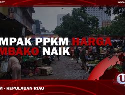 [Video] Dampak PPKM Harga Sembako Naik