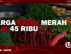 [Video] Harga Cabai Merah Naik 45 Ribu