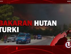 [Video] Kebakaran Hutan di Turki