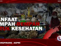 [Video] Manfaat Rempah-Rempah Untuk Kesehatan