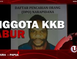 [Video] Anggota KKB Kabur