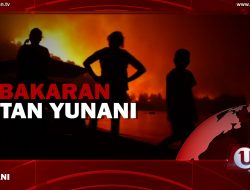 [Video] Kebakaran Hutan Yunani