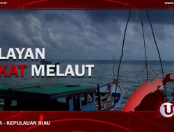 |Video| Nelayan Nekat Melaut