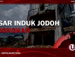 [Video] Pasar Induk Jodoh Dibongkar