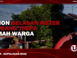 [Video] Pohon Belasan Meter Tumbang, Timpa Rumah Warga