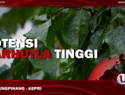 [Video] Potensi Karhutla Tinggi