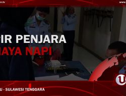 |Video| Sipir Penjara Aniaya Napi