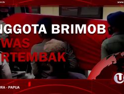 [Video] Anggota Brimob Tewas Ditembak KKB