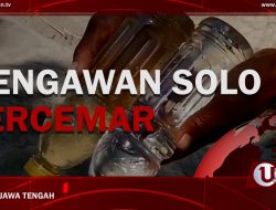 [Video] Bengawan Solo Tercemar