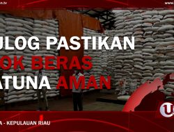 [Video] Bulog Pastikan Stok Beras Natuna Aman Selama Musim Utara