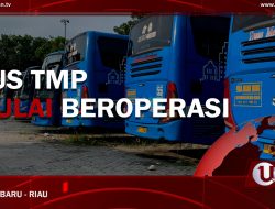[Video] Bus TMP Mulai Beroperasi