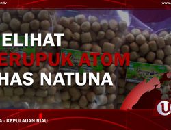 [Video] Melihat Kerupuk Atom Khas Natuna