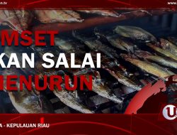 [Video] Nasib Pengusaha Produk Lokal di Masa Pandemi