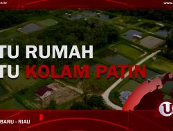 [Video] Satu Rumah Satu Kolam Patin
