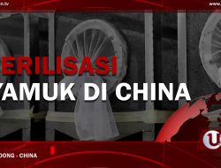 [Video] Sterilisasi Nyamuk di China