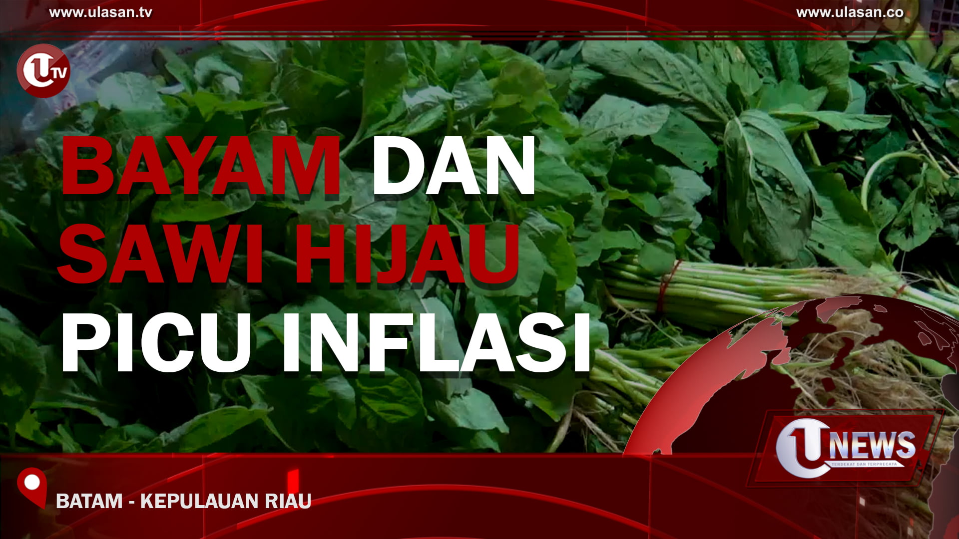 [Video] Bayam Dan Sawi Hijau Picu Inflasi