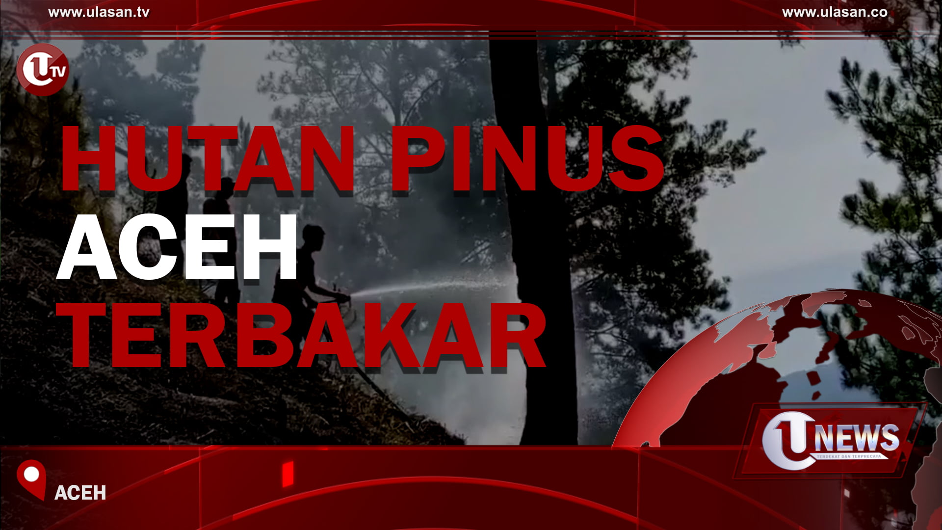 [Video] Hutan Pinus Aceh Terbakar