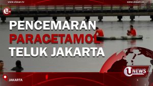 [Video] Pencemaran Paracetamol Teluk Jakarta