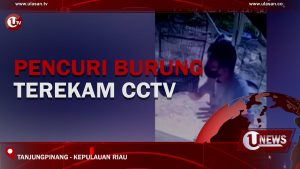 [Video] Pencuri Burung Terekam CCTV