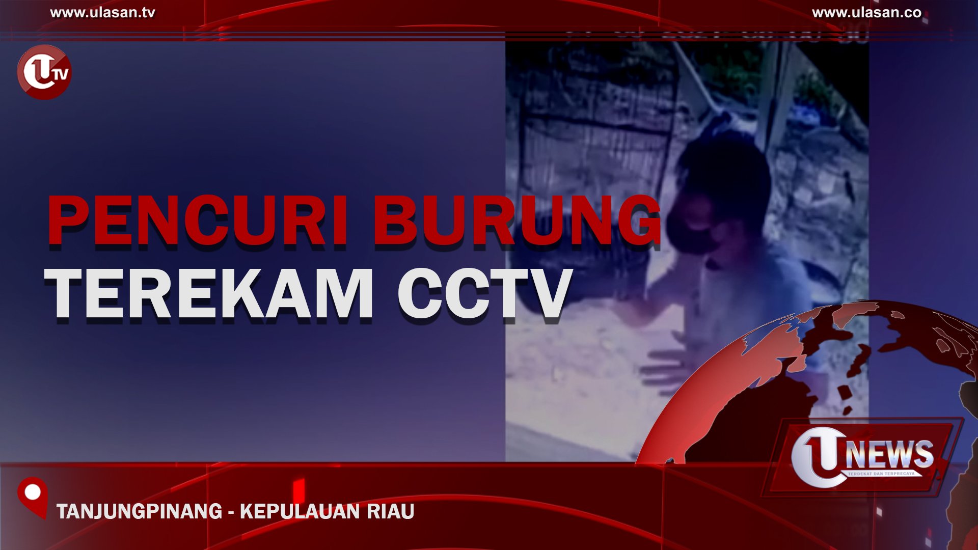 [Video] Pencuri Burung Terekam CCTV