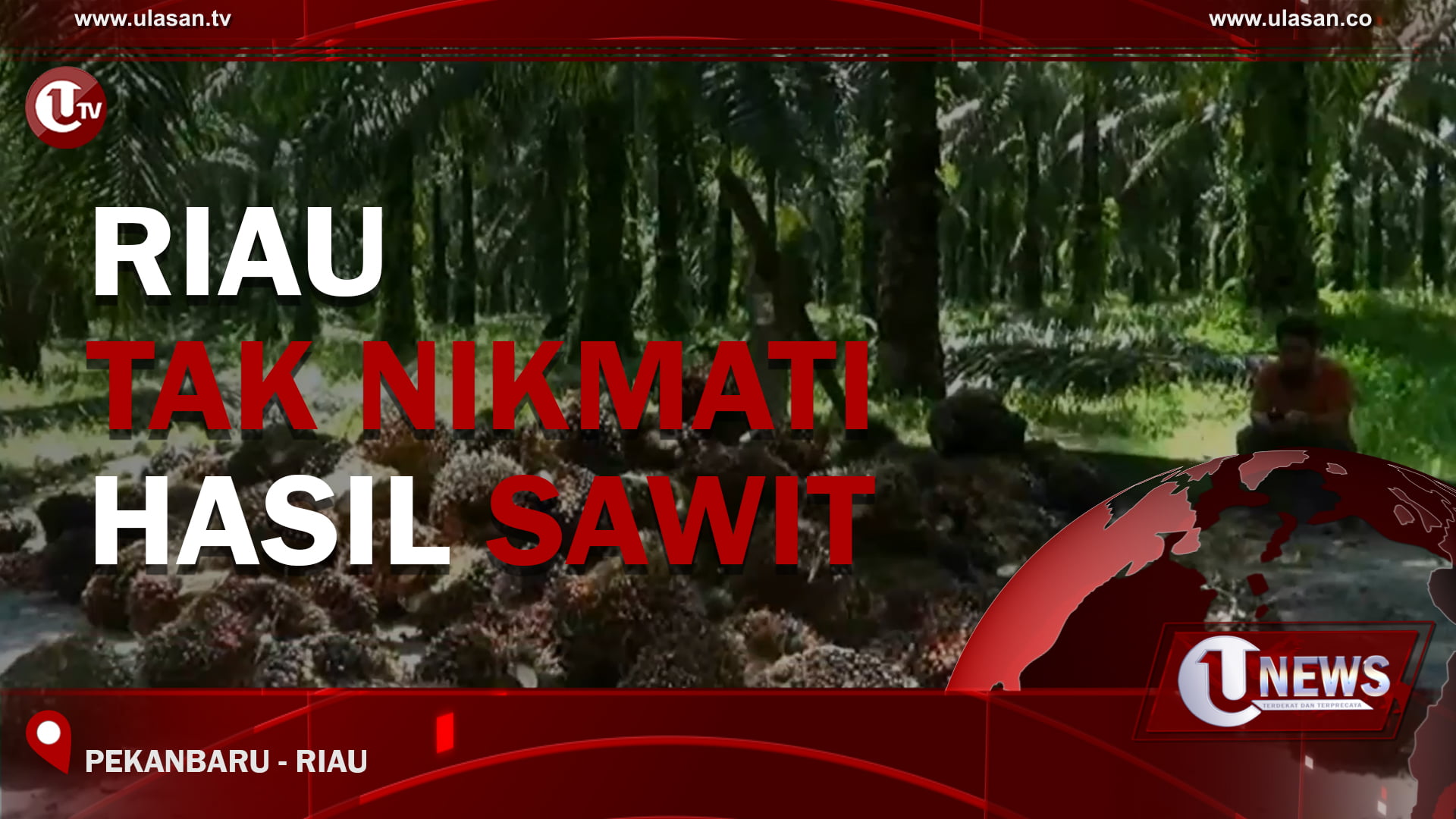 [Video] Riau Tak Nikmati Hasil Sawit