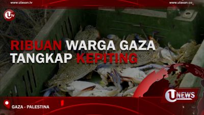 [Video] Ribuan Warga Gaza Tangkap Kepiting