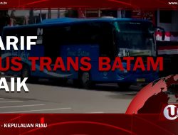 [Video] Tarif Bus Trans Batam Naik