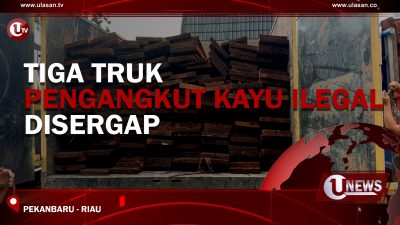 [Video] Tiga Truk Pengangkut Kayu Ilegal Disergap