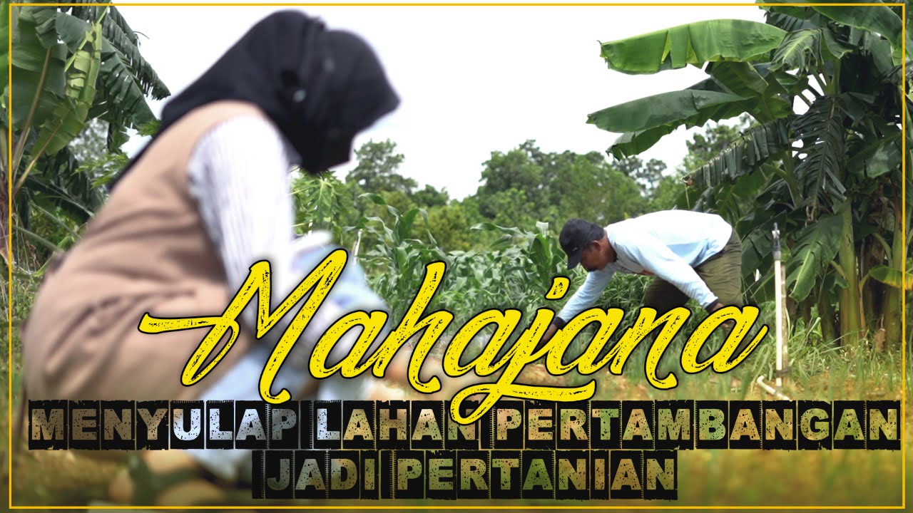 [MAHAJANA] EPS#5 Menyulap Lahan Pertambangan Jadi Pertanian