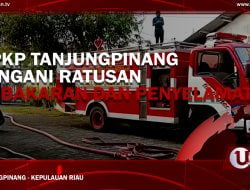 [Video] DPKP Tanjungpinang Tangani Ratusan Kebakaran dan Penyelamatan