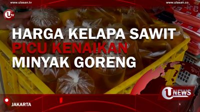 [Video] Harga Kelapa Sawit Picu Kenaikan Minyak Goreng