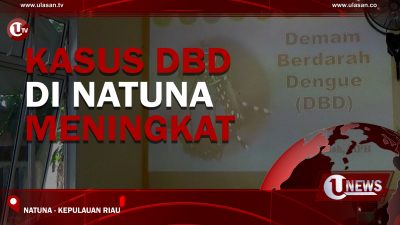 [Video] Kasus DBD di Natuna Meningkat