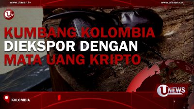 [Video] Kumbang Kolombia Diekspor Dengan Mata Uang Kripto