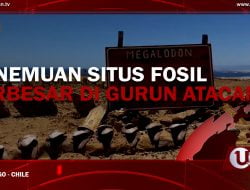 [Video] Penemuan Situs Fosil Terbesar di Dunia