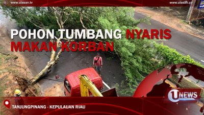 [Video] Pohon Tumbang Nyaris Makan Korban