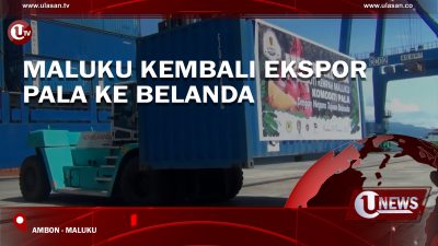 [Video] Maluku Kembali Ekspor Pala ke Belanda