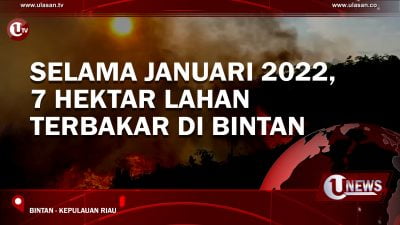 [Video] Selama Januari 2022, 7 Hektar Lahan Terbakar di Bintan