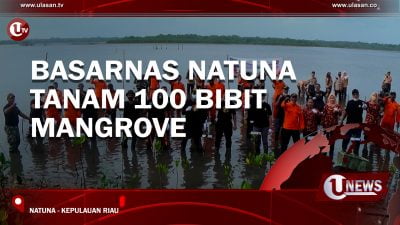 [Video] Basarnas Natuna Tanam 100 Bibit Mangrove