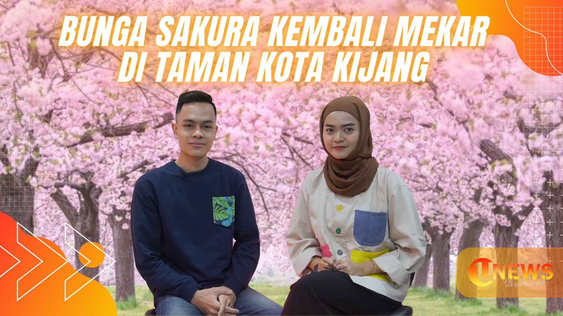Bunga Sakura Kembali Mekar di Taman Kota Kijang | U-NEWS WEEKEND