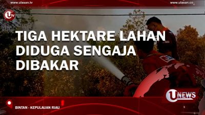 [Video] Tiga Hektare Lahan Diduga Sengaja Dibakar