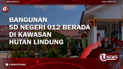 [Video] Bangunan SD Negeri 012 Berada di Kawasan Hutan Lindung