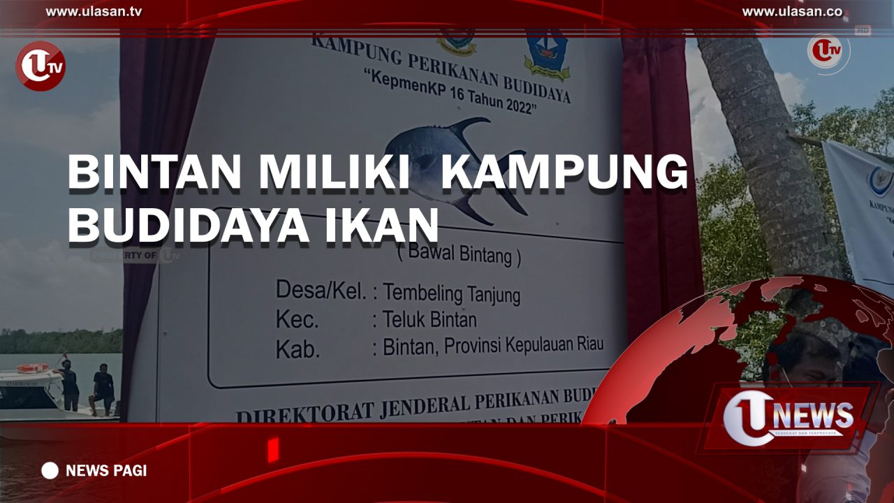 [Video] Bintan Miliki Kampung Budidaya Ikan