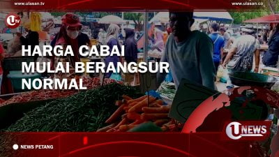 [Video] Harga Cabai Mulai Berangsur Normal.