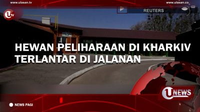[Video] Hewan Peliharaan Di Kharkiv Terlantar di Jalanan