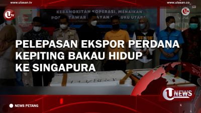 [Video] Pelepasan Ekspor Perdana Kepiting Bakau ke Singapura B