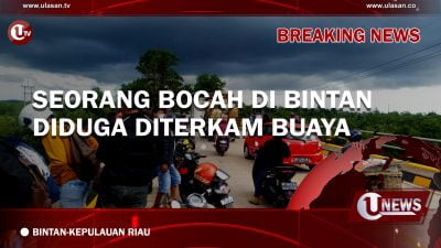 [Video] BREAKING NEWS : Seorang Bocah di Bintan Diduga Diterkam Buaya
