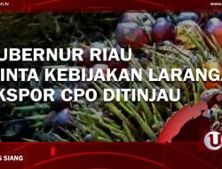 [Video] Gubernur Riau Minta Kebijakan Larangan Ekspor CPO Ditinjau