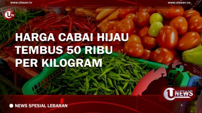 [Video] Harga Cabai Hijau Tembus 50 Ribu Per Kilogram