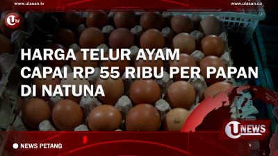 [Video] Harga Telur Ayam Capai RP 55 Ribu Per Papan di Natuna | U-NEWS