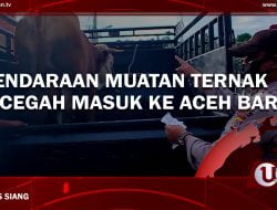 [Video] Kendaraan Muatan Ternak Dicegah Masuk Ke Aceh Barat